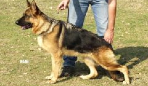 Fina in Regnum Marianum