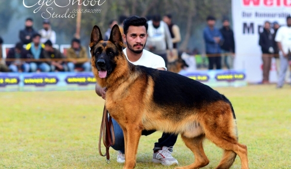 Wagus vom Lärchenhain