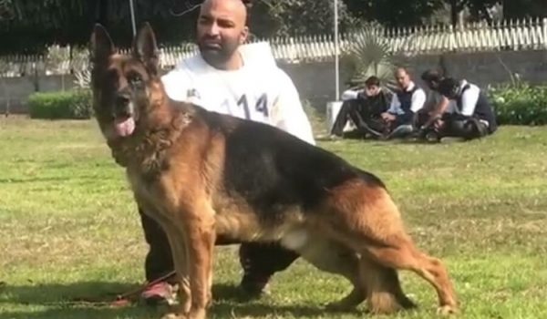 Marek di Casa Nobili