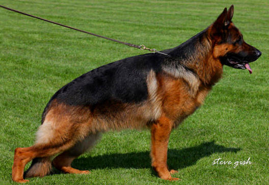 Patrick vom Grabfeldgau