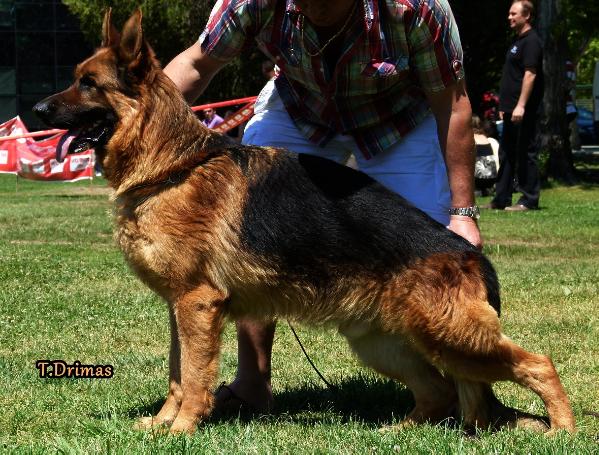 Arok von der Wilhelmswarte