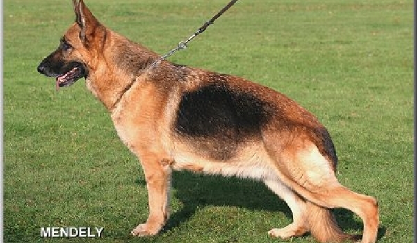 Mandy de Turia Drimas