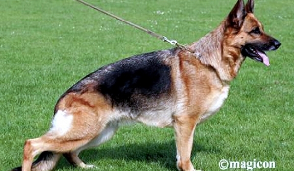 Riska vom Holtkamper See