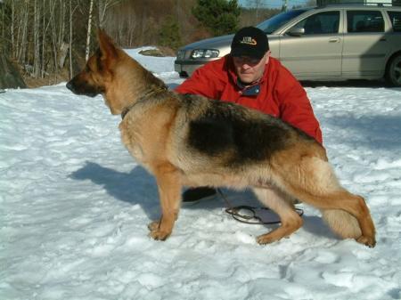 Ronja vom Farbenspiel