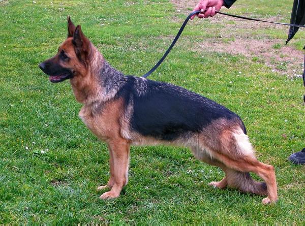 Galina vom Team Panoniansee