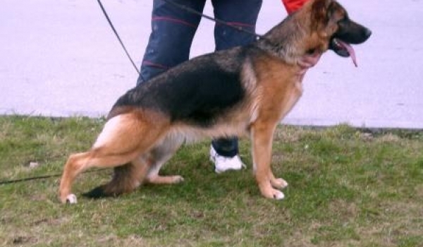 Patricia House of Grumil