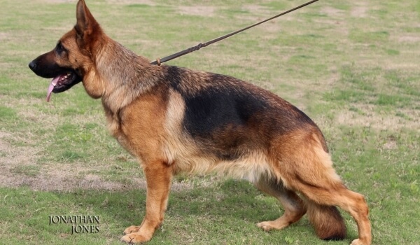 Arizona House of Grumil