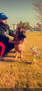 Elizaveta von Rottes Wunder